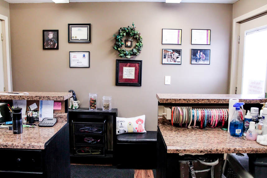Reception area pictured on North Pine Pet Grooming’s original website